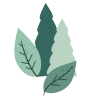 Skillvymorica
